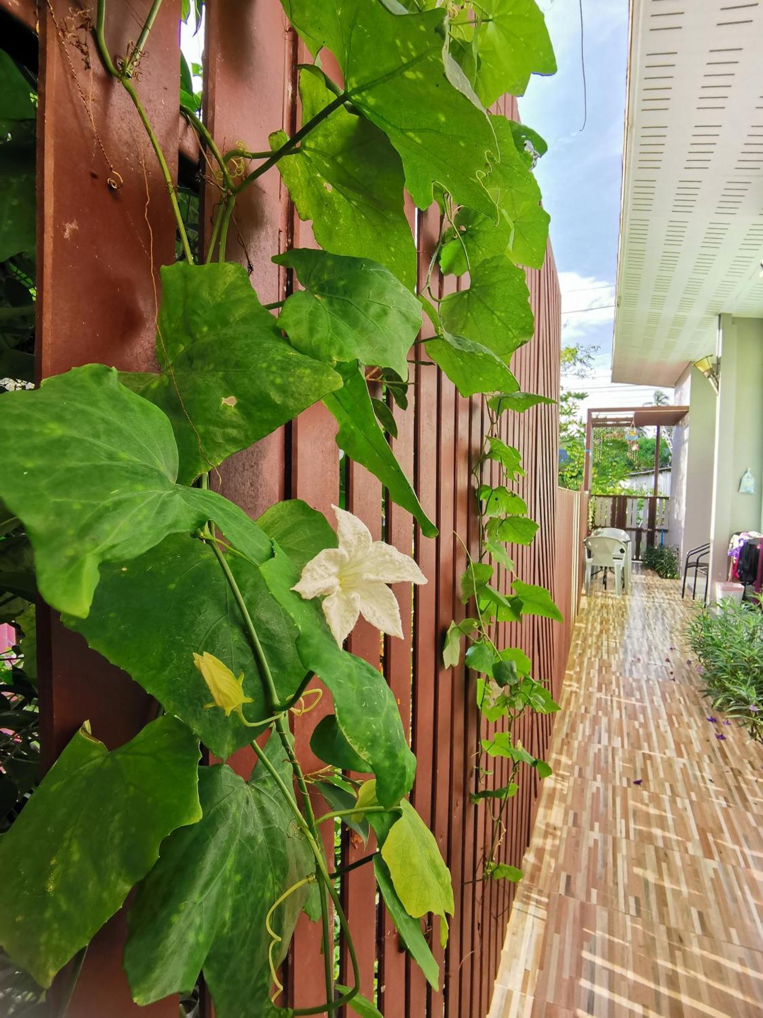 De​ Lanta Place Koh Lanta Room photo